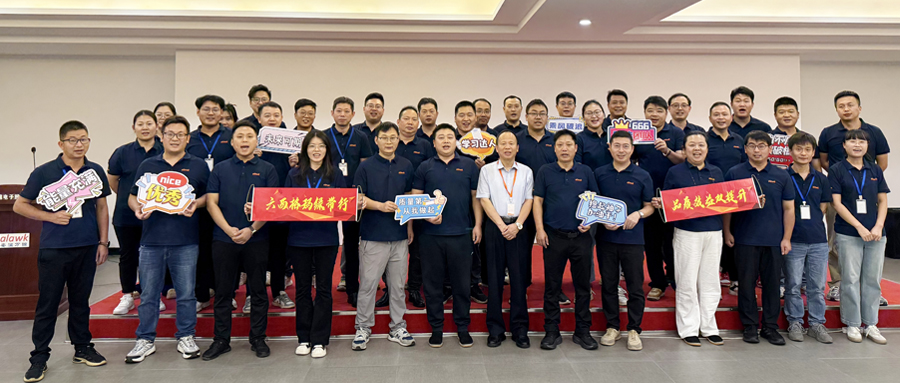 Alawk Six Sigma Green Belt Training Successfully Concludes: Using Quality Improvement to Address Market Challenges